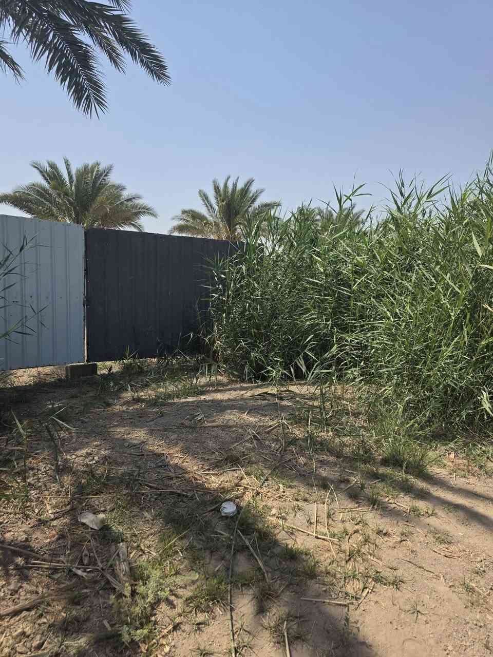 السلام عليكم ورحمة الله وبركاته🫱🏽‍🫲🏻
متابعينا الكرام 👥
ارض طابو سند 25 المساحه"اربع دوانم"🌹
يتوفر فيها نخيل 🌴وحمضيات🌳 وماء للسقي💦 وتكون مسيجه بالكامل ⛩️الشارع ست مترات🛣 على السوك ومدارس وخدمات👌🏻
العنوان: الشيخ حمد_عيادة دكتور سليمان🏨_قرب مدارس الشيخ حمد🏫
للاستفسار الاتصال على الارقام الاتيه كورك: ***********📞
اسيا : ***********📞
#مَكتب_ديرتنا_للعقار 🏢
#بإدارة_أحمد_أبومصطفى 🌹
