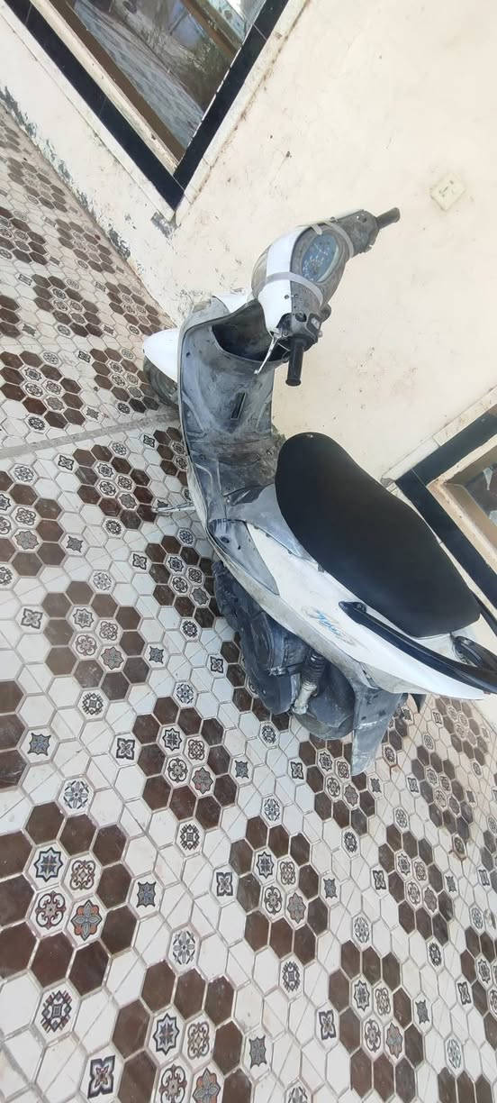 ***********
سلام عليكم دراجه ماكس منقولي دراجه بلاديه بس يرادله درتيبات من بره نكره سلف سعر 450 بغداد ابو غريب
