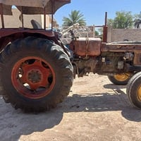 عنتر • مكفولة • شوملي