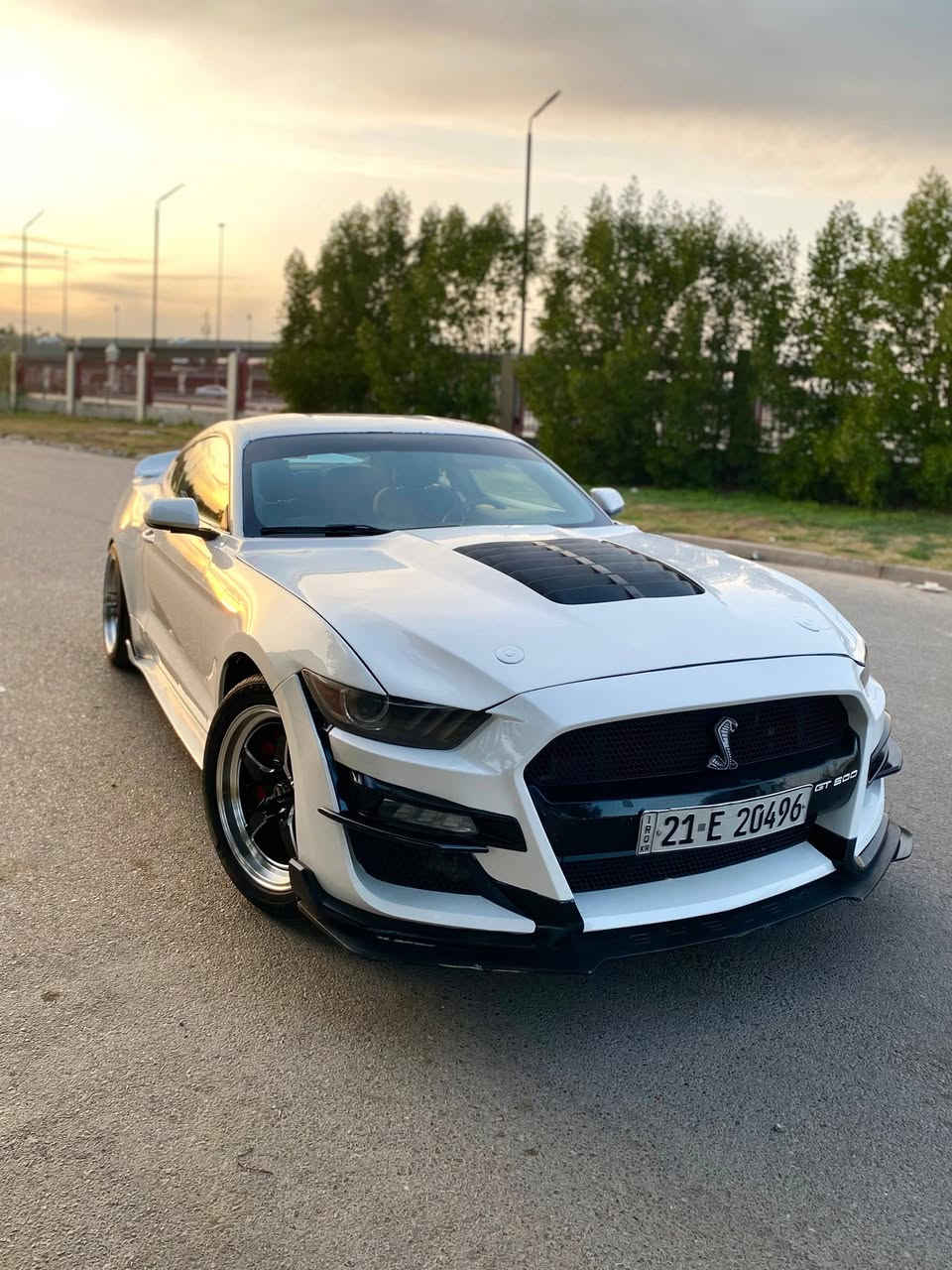2017
V6
ماشيه 143km
سياره حزام 
123$ 
***********
لتخابرني تحجي بالسعر تعال شوفها خل تعجبك 
و تدلل 
سياره نقصها بس صدر
