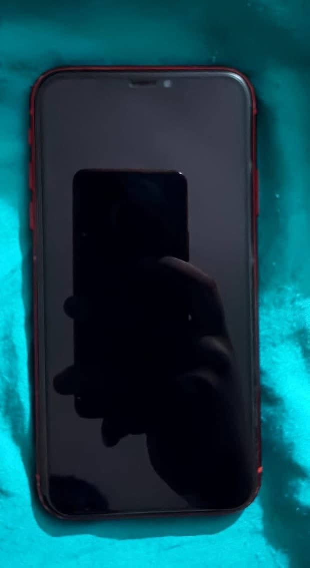 ايفون اكس ار ذاكره ١٢٨ شريحه وحده جهاز ما بي اي شي فقض هذا كسر بضهر ومستبدل شاشه اصليه سعر جهاز ١٢٠وبي مجال تواصل عل هذا الخط ***********

نص مكتوب في الصور:
- حول رجوع الاسم iPhone إصدار iOS 18.7.9 اسم الطراز iPhone XR رقم الطراز MT022LL/A الرقم التسلسلي FK1XV18ZKXL0 انتهت صلاحية التغطية الأغاني الفيديوهات ٣٠٥ الصور ٤٣٤ التطبيقات ٣٥ السعة ١٢٨ غ.ب. متوفرة ٦٩,٥٣ غ.ب. عنوان Wi-Fi F8:2D:7C:B5:4C:65 Bluetooth F8:2D:7C:B2:59:A5