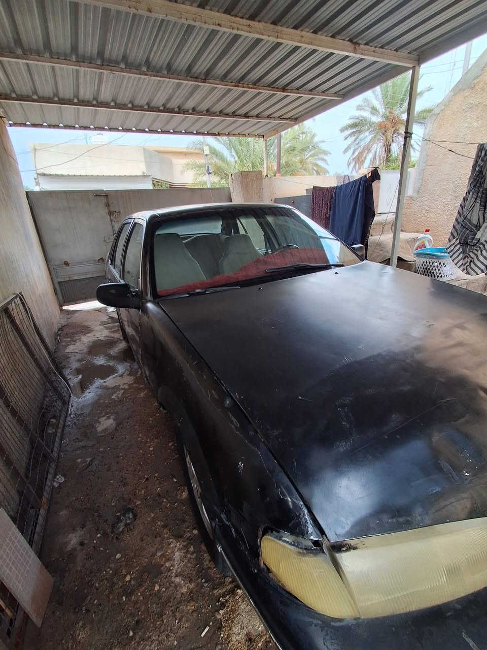 برنس فراشه • ١٩٩٢ • ١٨٠٠