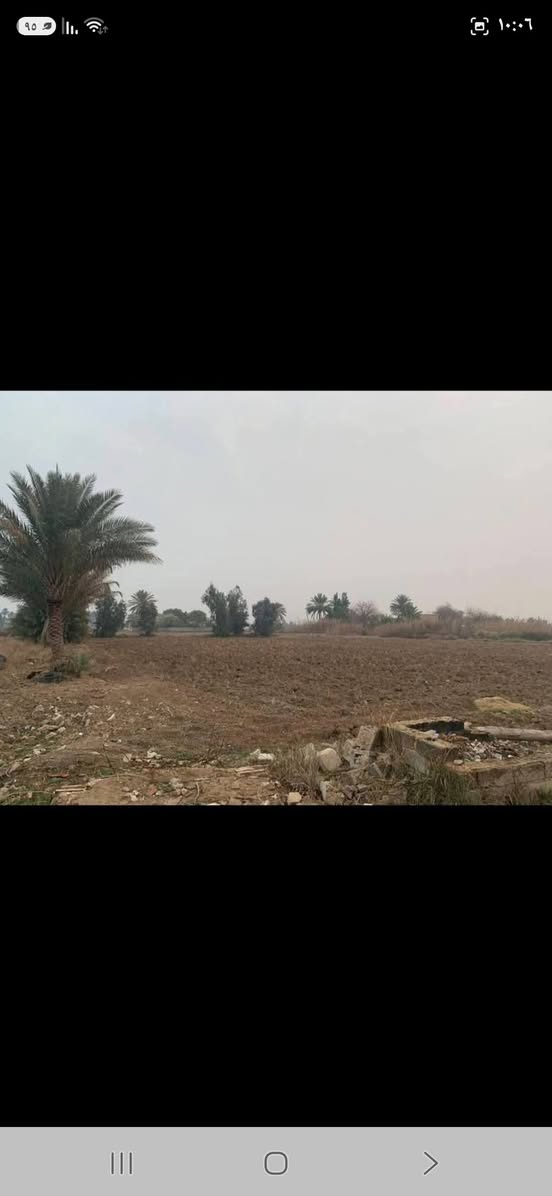 #للبيع 
ارض زراعي ٢ دونم 
سند ٢٥ 
الموقع اطراف بغداد قرية المراسمة قريبة من الفلل 
***********
