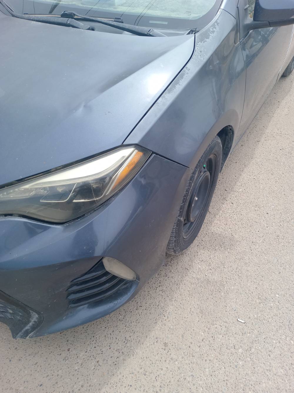٢٠١٦ • وارد امريكي • رقم ميسان