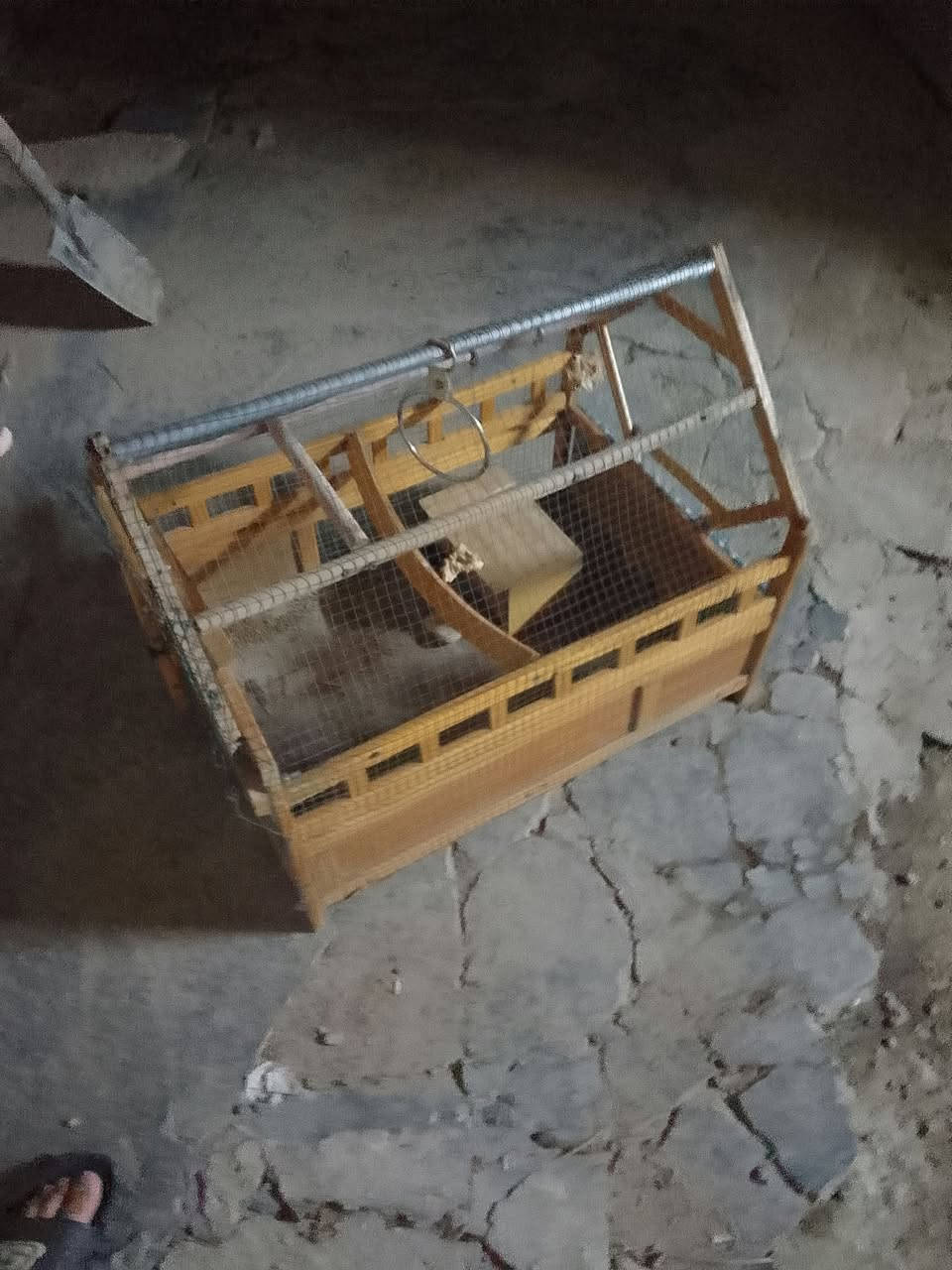 قفص • للبيع