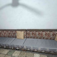 تخم للبيع ب 50 و بي مجال العنوان بغداد الحرية  تواصل 07712516484
