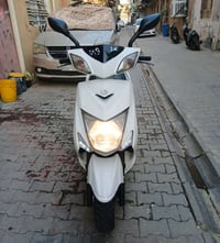 سكنس فحل • ياباني • مكفوله