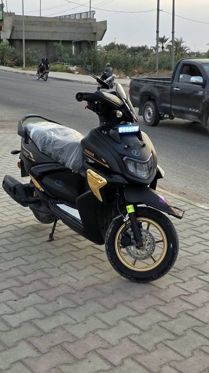 راي • ٢٠٢٤ • درع