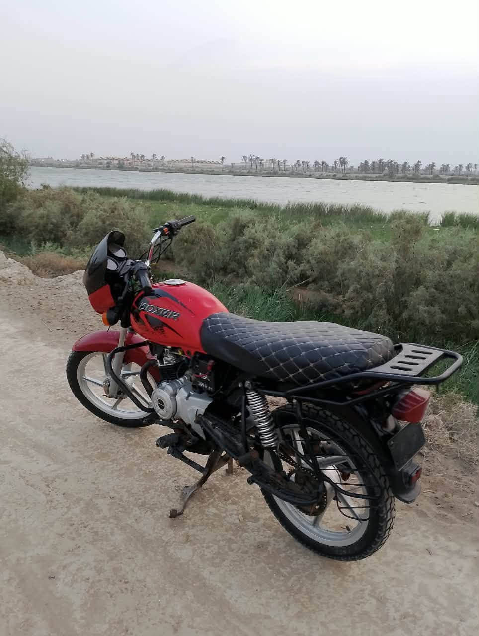 بوكسر • حمرا • اوراق اصولية
