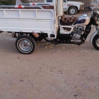 ستوته • مديل 20 • اوراق مجمع