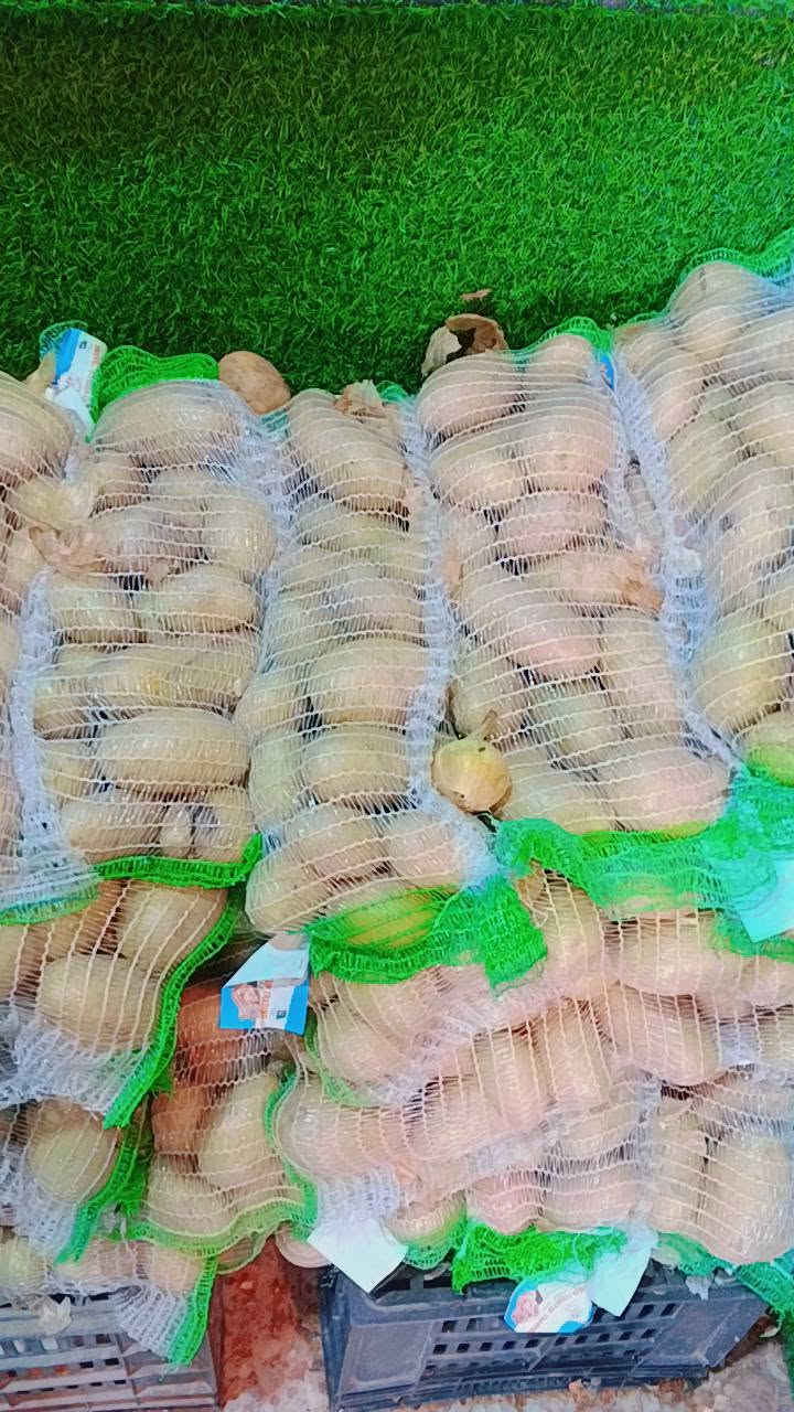خضرة وفواكه • الصلاح • اسعار غالية