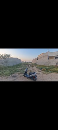 أم العضام • ٤٢٠م • سند ٢٥