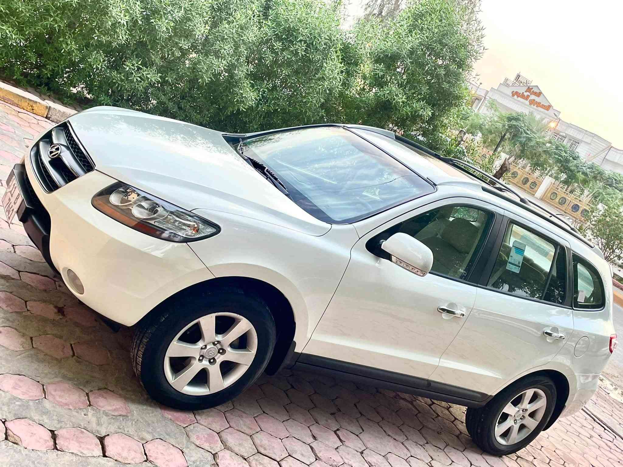 سنتافيا • ٢٠٠٩ • رقم بغداد