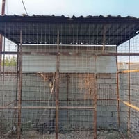 قفص • باب موجود • بعقوبة