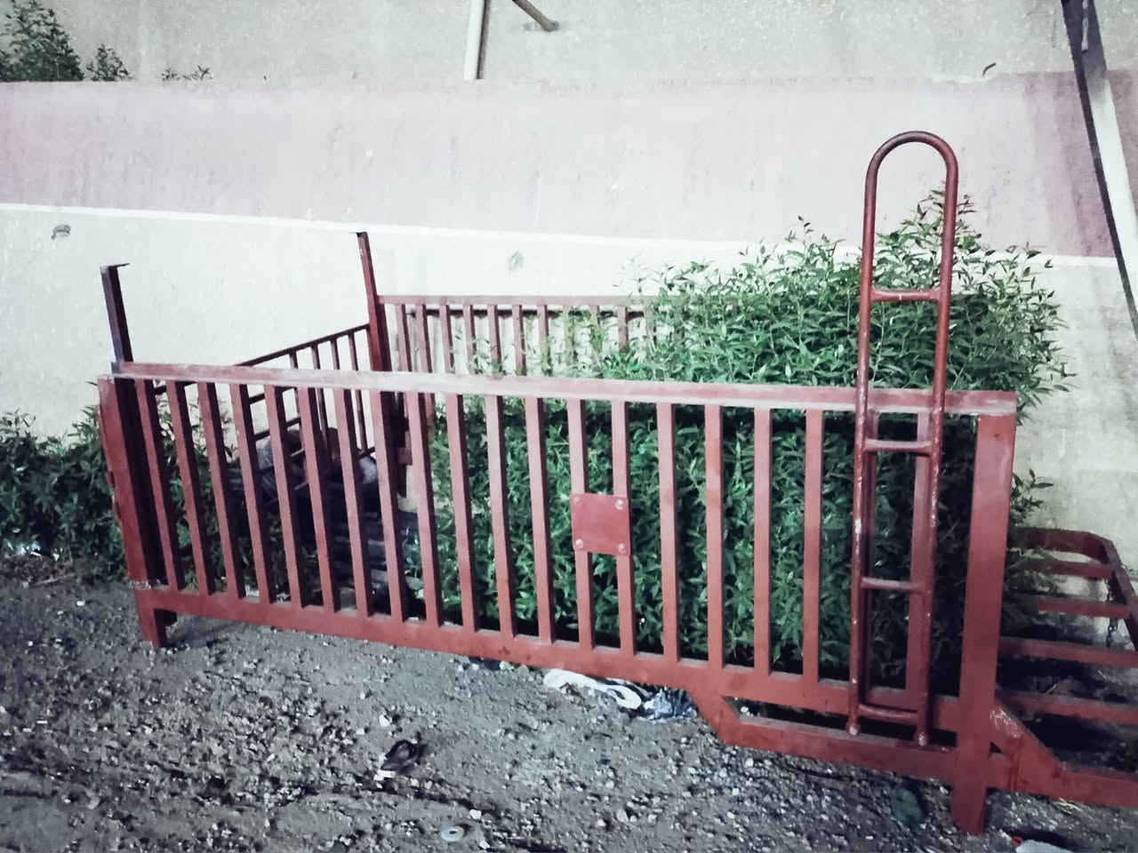 محجر مال كية حمل 2700  محجر درجة الاول البيع السعر 600 وبي مجال بسيط رقم الهاتف *********** العنوان بغداد مدينة الصدر لاورفلي
