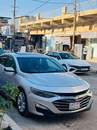 ماليبو فول • ٢٠٢٠ • بابل محاويل