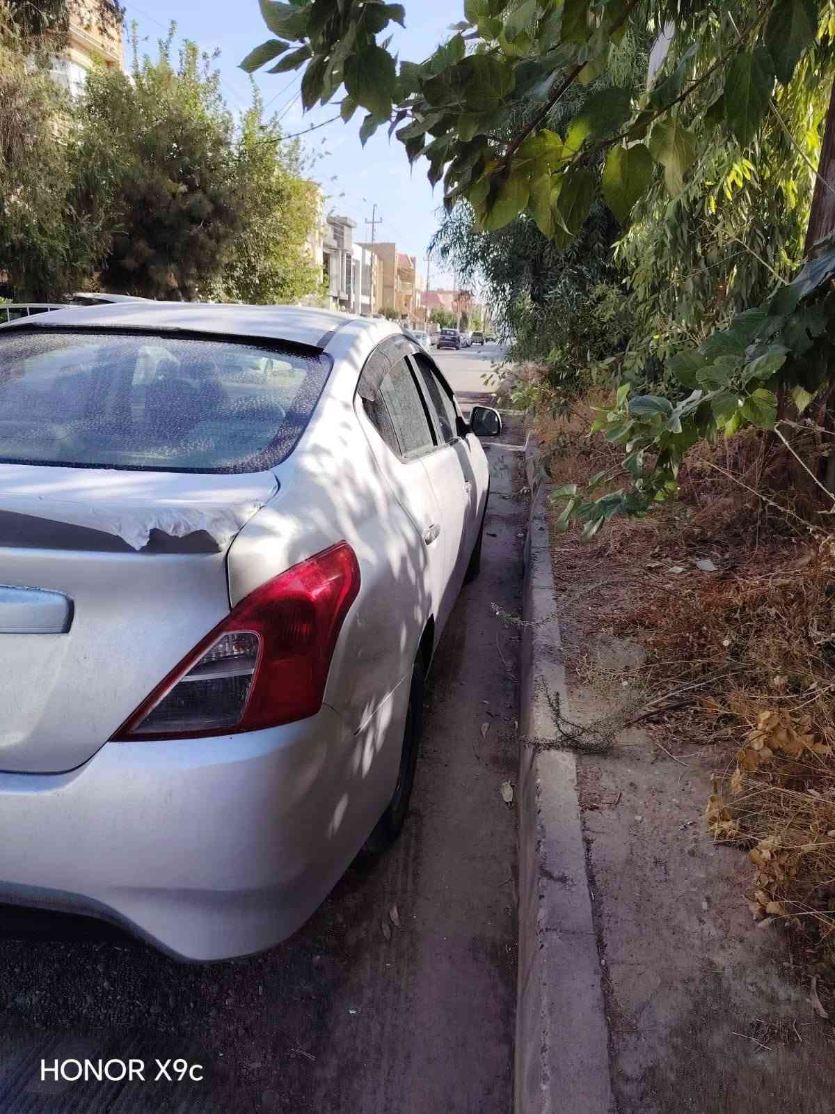 صني • ٢٠١٤ • صبوغ عامة
