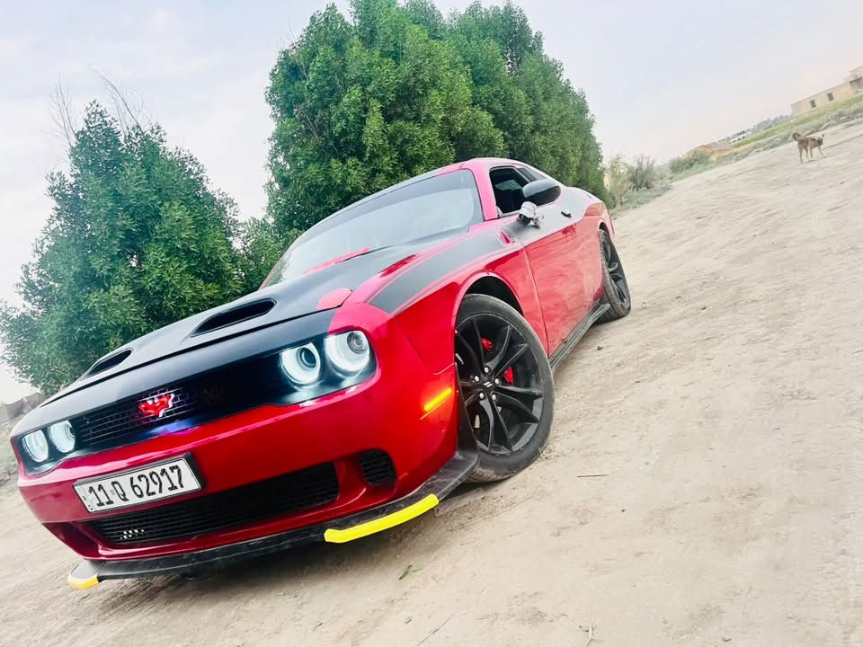 جالنجر • ٢٠١١ • رقم بغداد