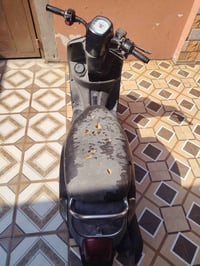 بوليس نوزل • كفاله • معدل