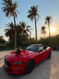 موستنك ايكو بوست • ٢٠١٩ • بغداد