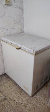 مجمده • شغاله • ما تجمد