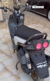 سكنس جبلي • كفاله • اوراق