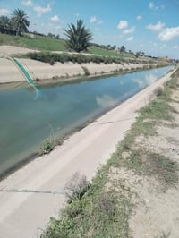 آخر 4 دوانم بلأرض وسعرهن كلهن ب 32 يعني ال 4 دوانم كلهن ب 32 مليون فرص...