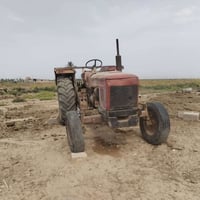 عنتر • موديل ٨٧ • كفالة عامة