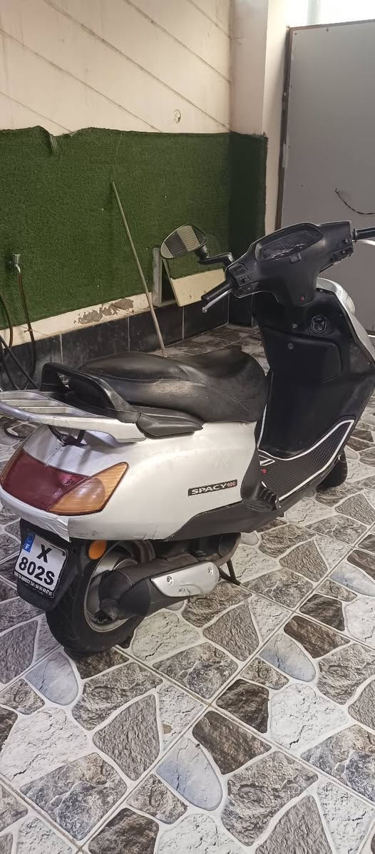سبيسي • ماليزي • نضيف