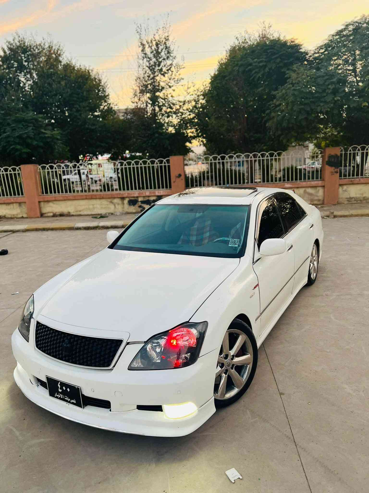 شاهين • ٢٠٠٨ • زينون كامل