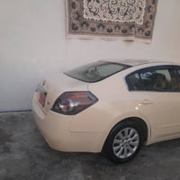 التيما • ٢٠١٢ • السليمانية