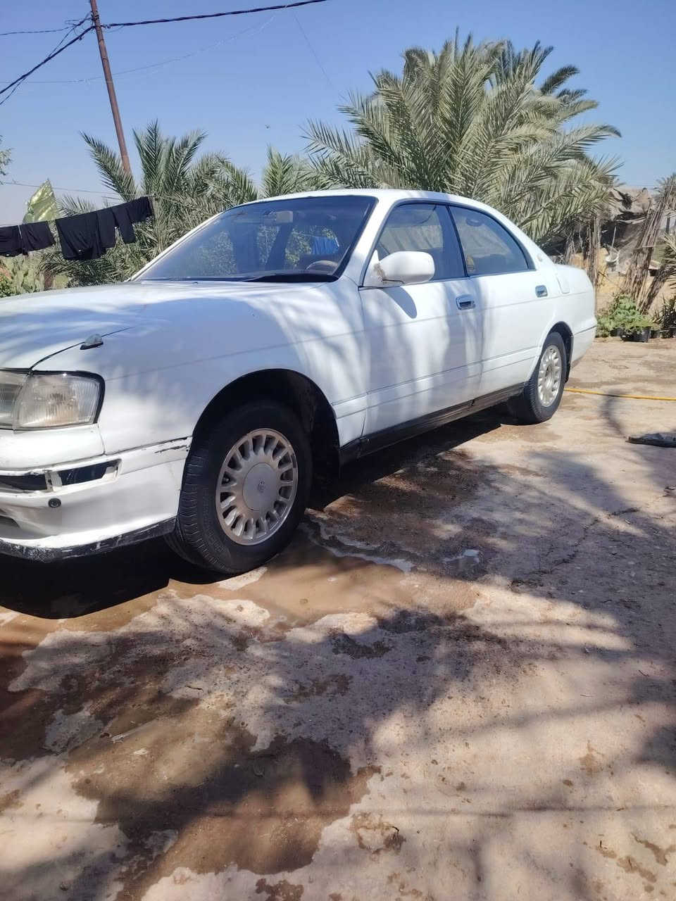 السلام عليكم بطه للبيع  او مراوس بملكه صفره 
رقم انبار مداور ثاني يوم((سياره كفاله من كص ونقل جثه 

وضربه القويه)) دواخل كله جديد دشبول ابطاين 

 حداديه80 بل ميه  تخم تاير كله جديد مكاني نجف عباسيه
 
 ***********
