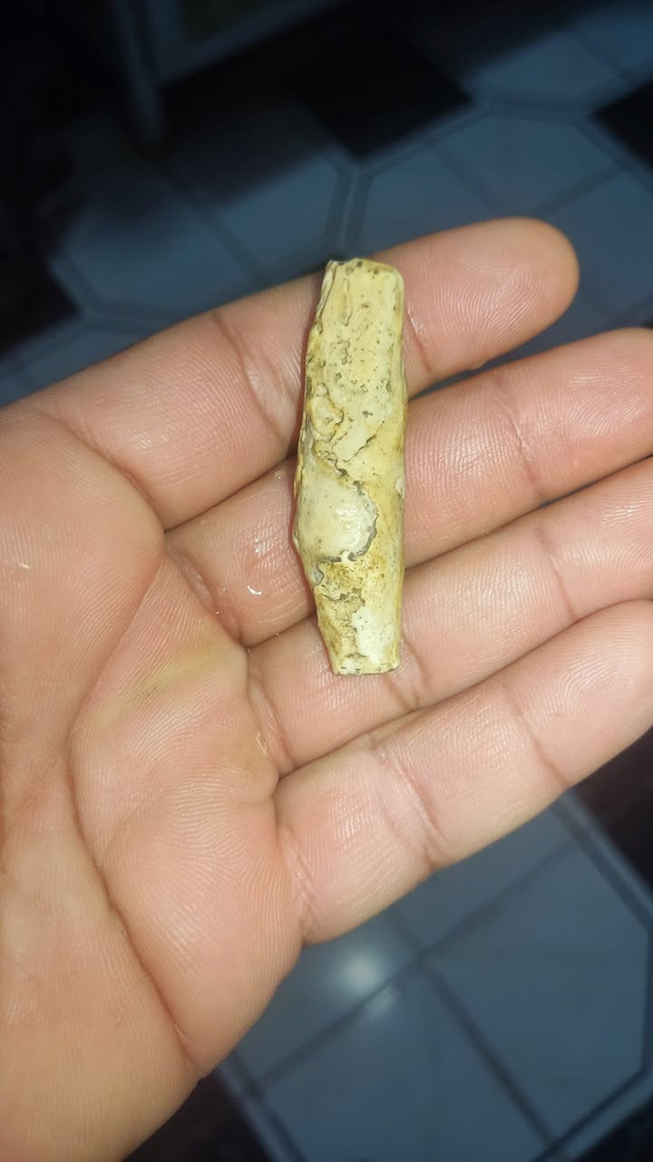 عرك عطف بري ملاكط اصلي طبيعي رباني مجرب ذمه محبه وجلب القلوب على النظره راحه نفسيه جلب الحبيب عقد لسان تسهيل مور جاه وجه مهابه هيبه  للببع *********** الاستفسار وتساب
