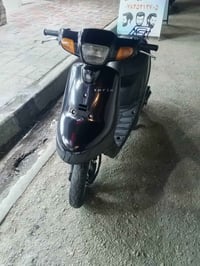 بطة • نضيفه • مكفوله