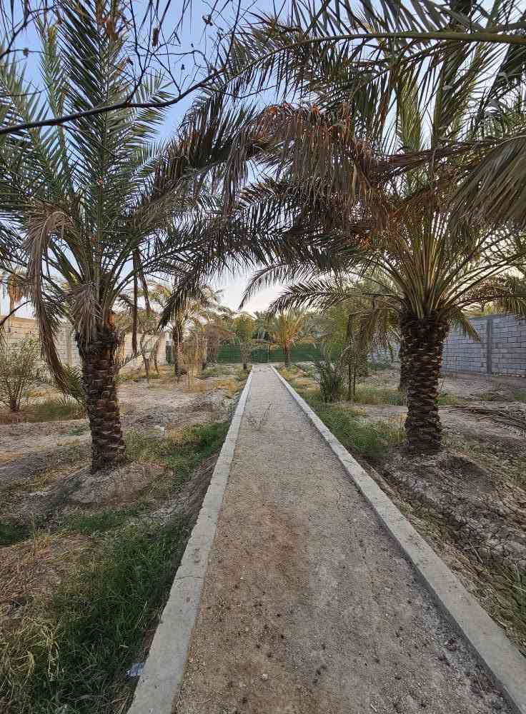 🌴 بستان للبيع في أبي الخصيب – محيلة 🌴
📐 المساحة: 1070م² (ألف وسبعون متر)
📜 الطابو: صرف، سهم وتحويل مباشر باسم المشتري
🌴 يحتوي على عدد من النخيل والأشجار
🔒 محكم بسياج من جميع الجهات
🌊 يطل على نهر جاري مباشرة
💧⚡ جميع الخدمات متوفرة
📍 العنوان: البصرة – أبي الخصيب – محيلة، قرب سوق محيلة
📞 للاستفسار والاتصال:
*********** البصرة, العراق

نص مكتوب في الصور:
- ***********