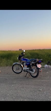 تایگەر • ٤گێر • ٢٠٢٤