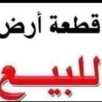 أرض سكنية • ٢٥٠م • البكرلي البوحمير
