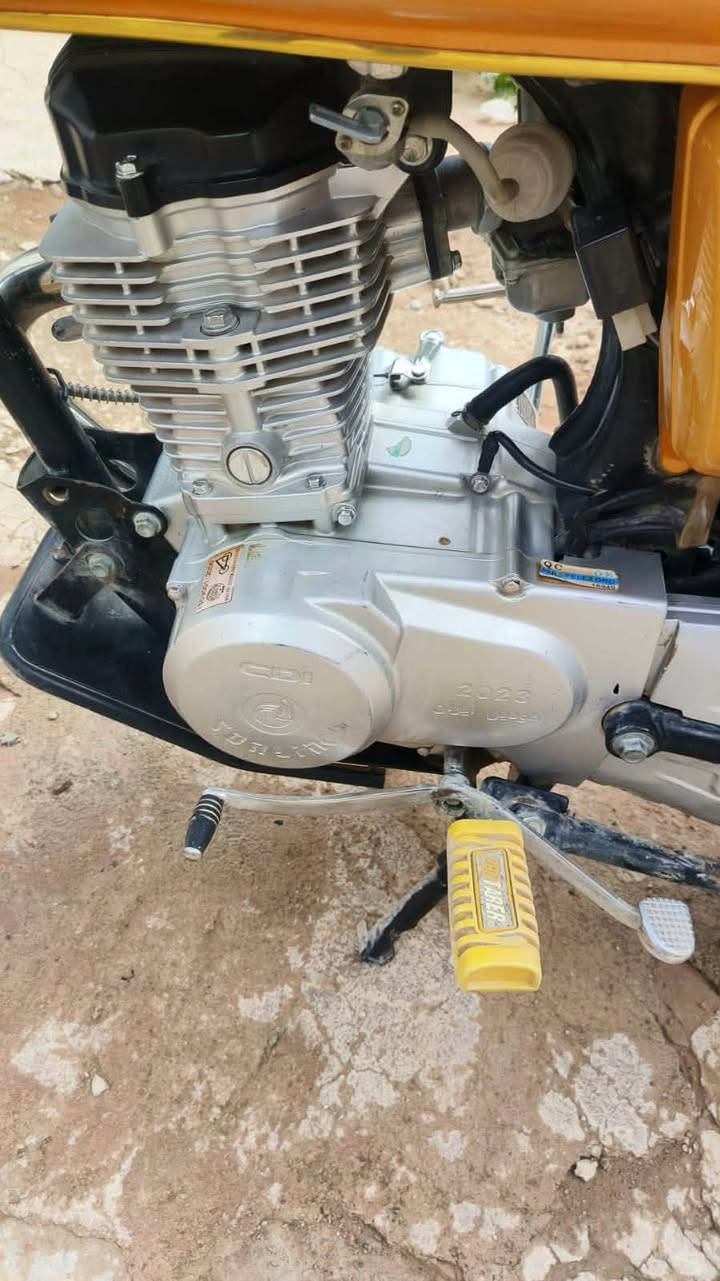 سوانك • موديل ٢٣ • مكفوله