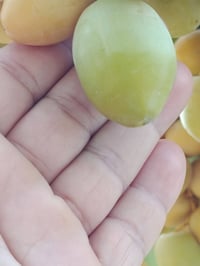فسائل • جبجاب • كربلاء