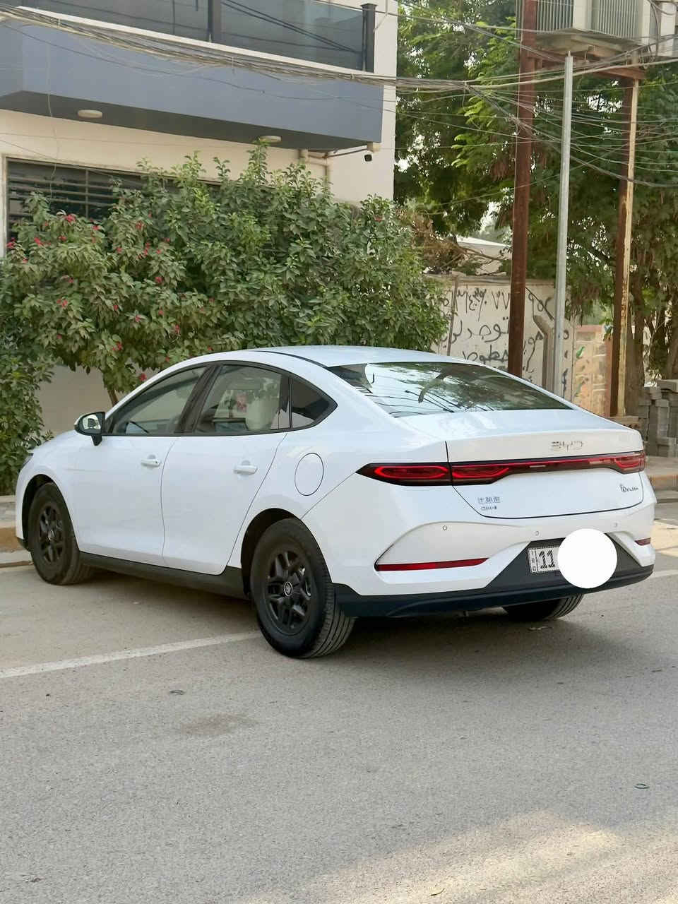 جين بلص • ٢٠٢٥ • الغزالية