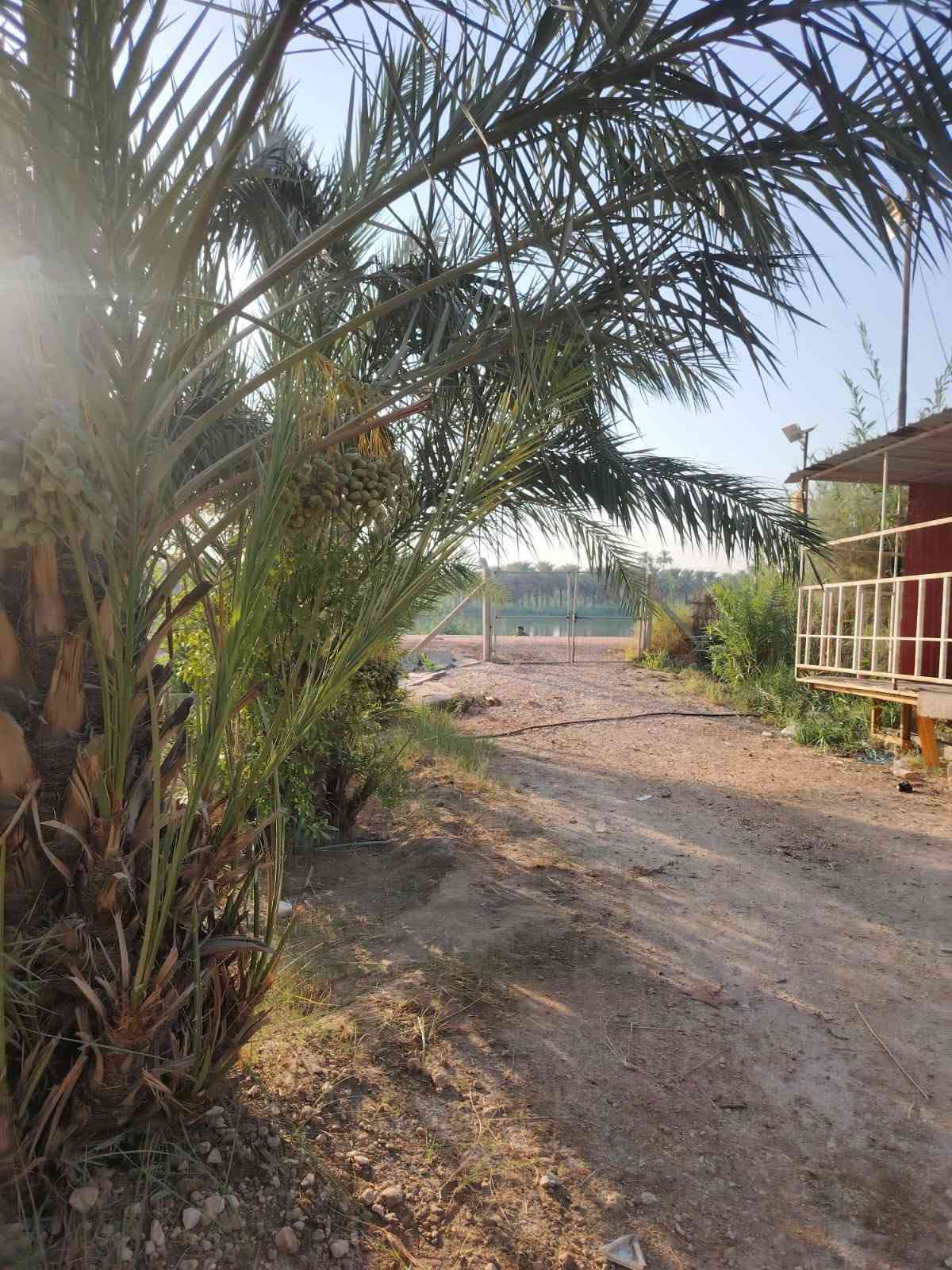 من رخصة الادمن 
للبيع...للبيع....للبيع 
دونمين طابو زراعي سند ٢٥تحويل مباشر شاطئيه بموقع مميز جدا  قرب معمل السمنت للاستفسار الاتصال على الأرقام 
***********
*********** او مراجعة مكتب دلهي مقابل مطعم البهار حي المعلمين الثانيه
