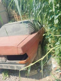 مرسيدس 190 • موديل 1990 • غراض كاملة