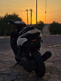ادرس صيني • مراوس معمره • كابريتر جديد