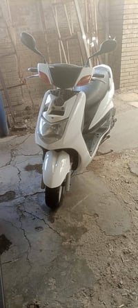 سكنس نثيه • ياباني • ١١٠