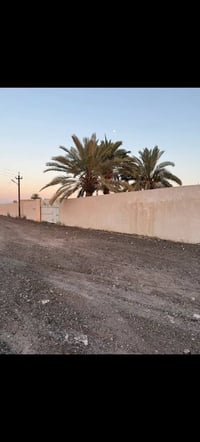 أبو غريب عكركوف • دونمين ملك صرف • ٧٠م×٣٧م