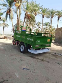 ستوته • فحل • موديل ٢١