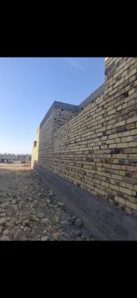 نقد وقصاد • ديوانيه • سيد محمد