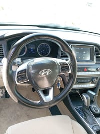 سوناته • ٢٠١٩ • وارد امريكي