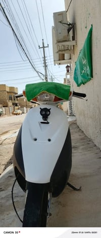 ذبانه • رياضه • شغاله