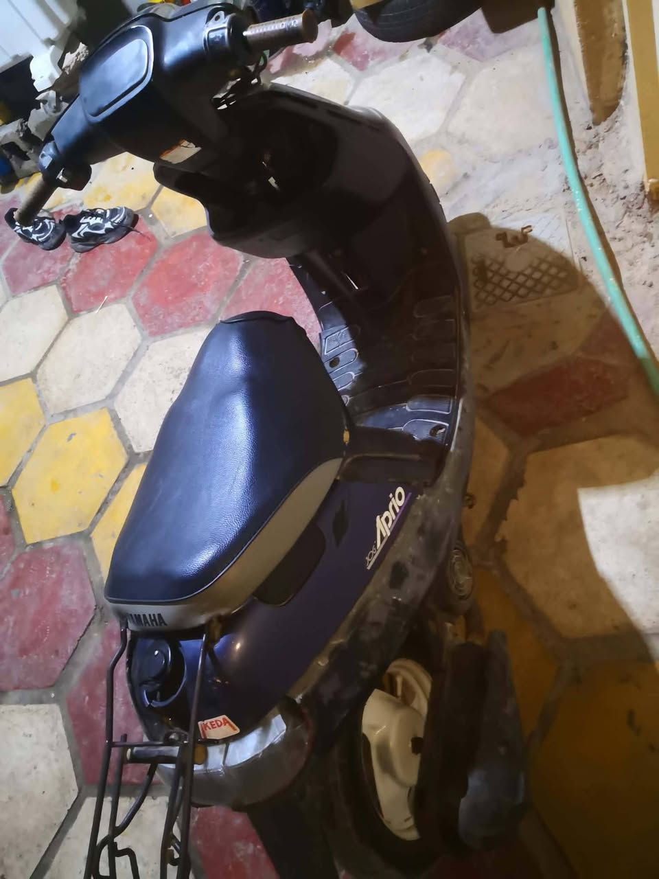 بطه • شغاله • للبيع